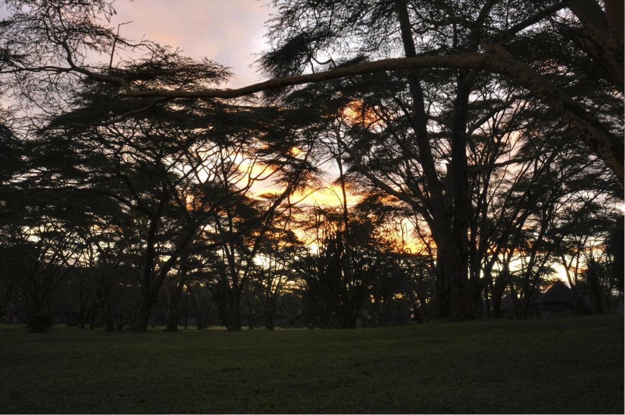 Lake Naivasha Sopa Resort Екстериор снимка
