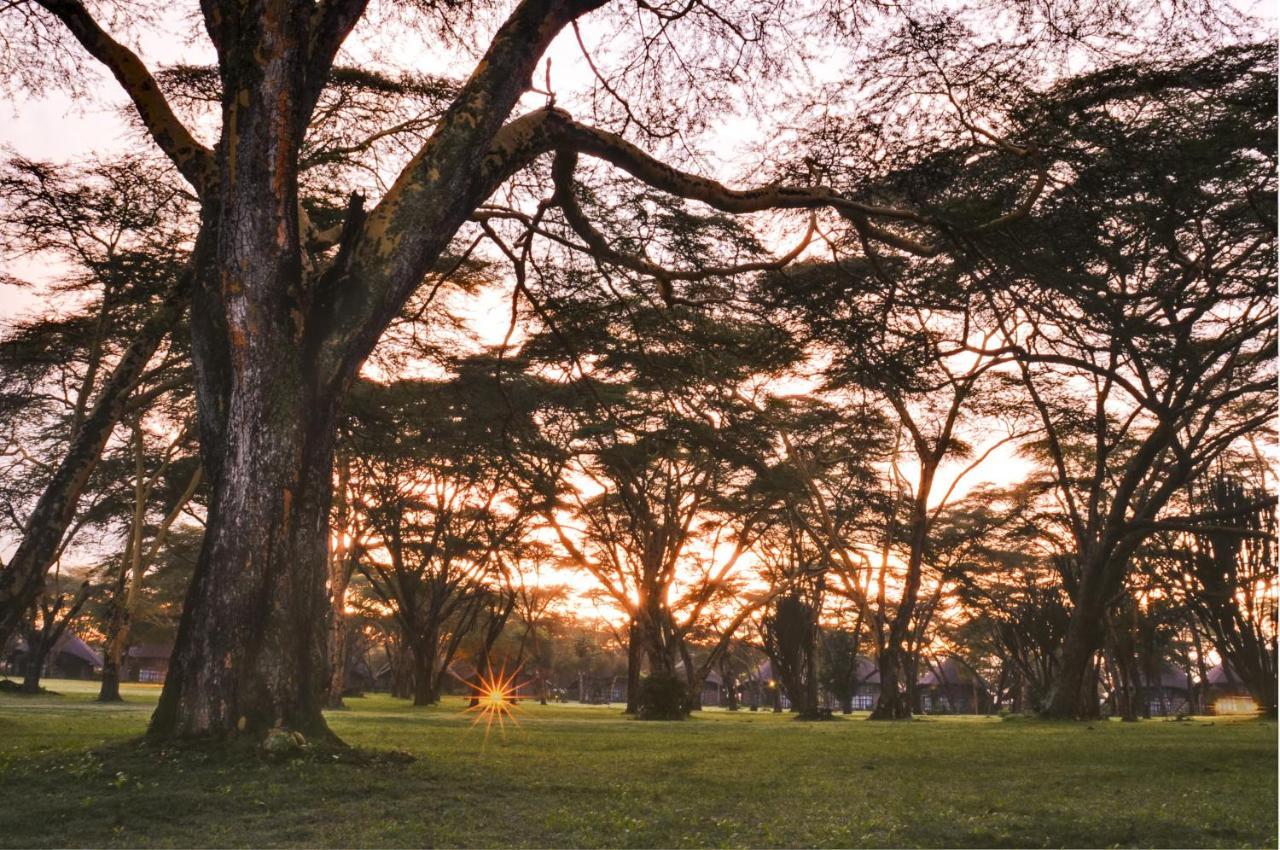 Lake Naivasha Sopa Resort Екстериор снимка
